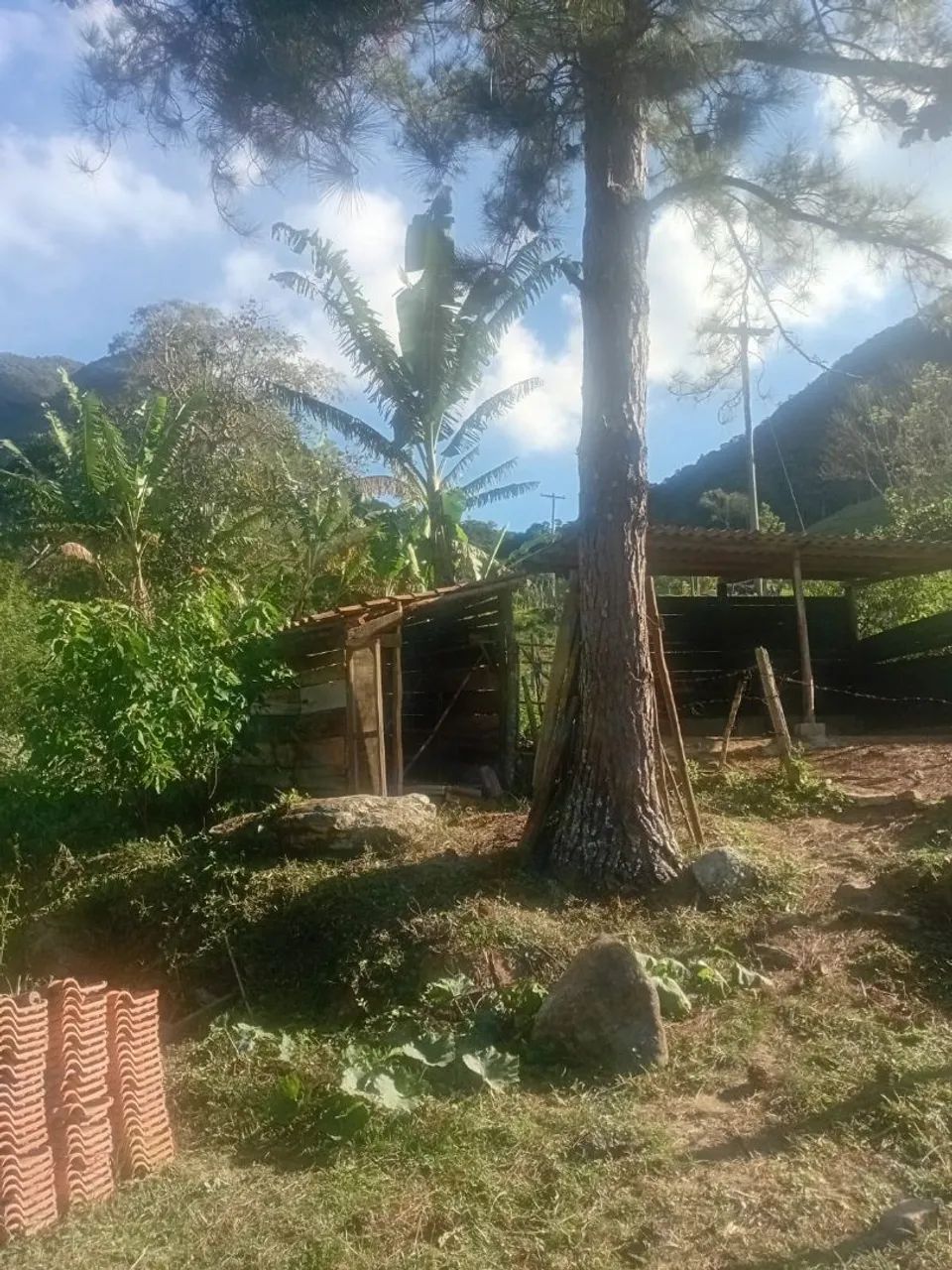 Sitio á Venda - Foto 3