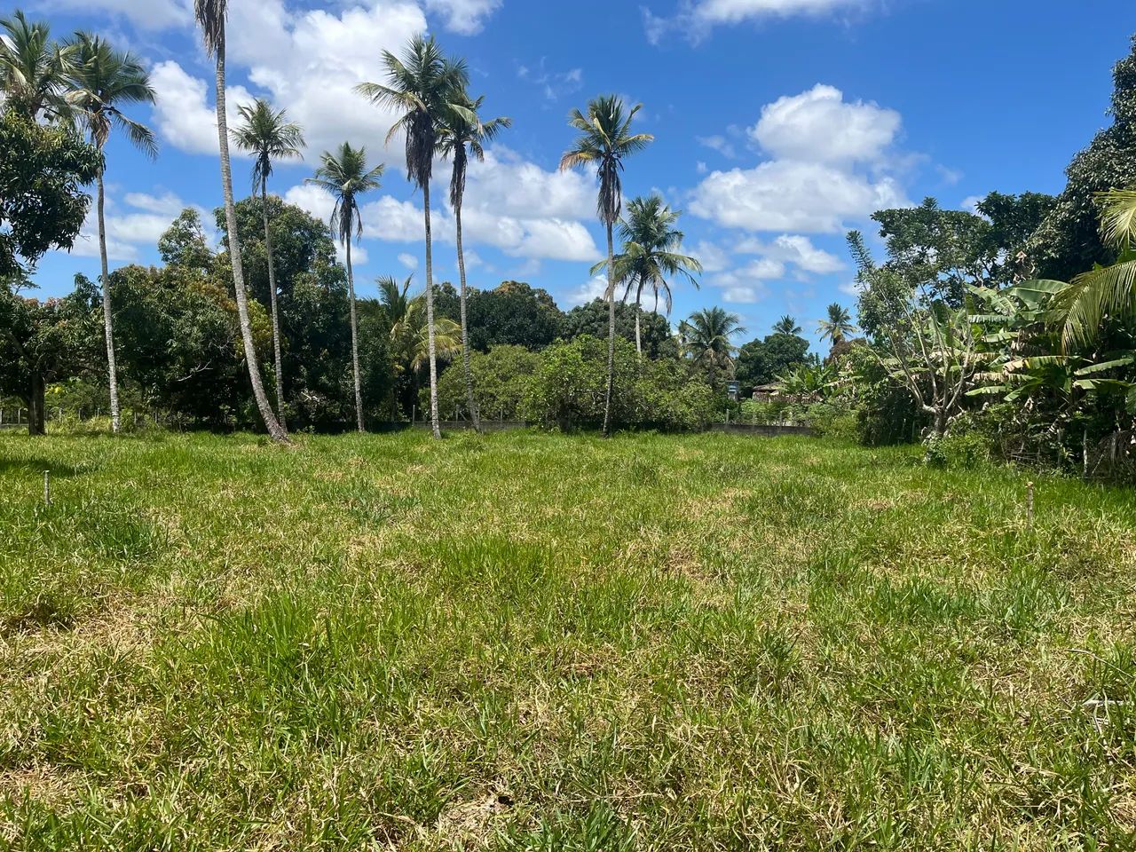 Terreno em Rita Cacete med. 10 x 45 ótima oportunidade! - Foto 3