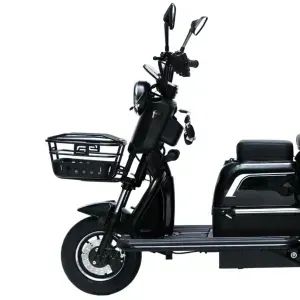 Triciclo Elétrico 750W, Aro 8", Dois Assentos Cadeiras Ré Alarme Bagageiro Fenix Preto  - Foto 2