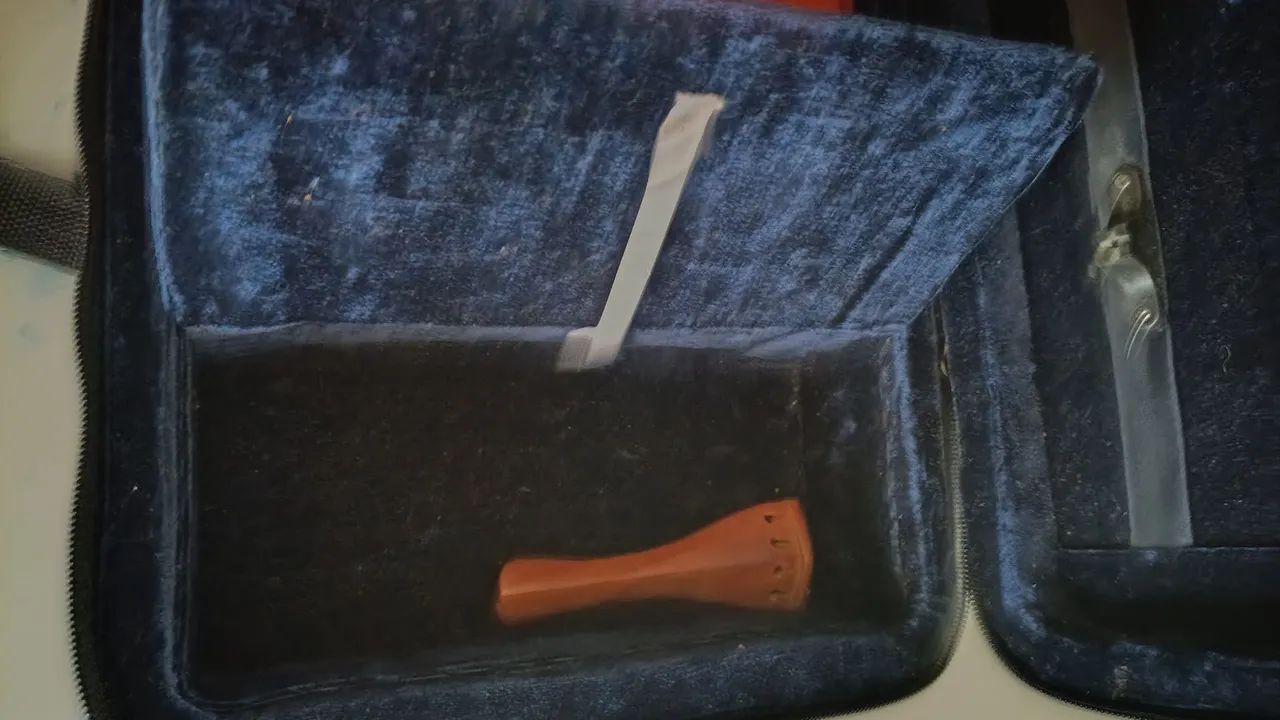 VIOLINO EAGLE 4/4 - Foto 5