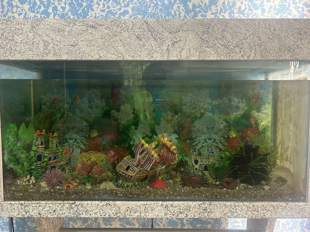 Aquário  - Foto 2