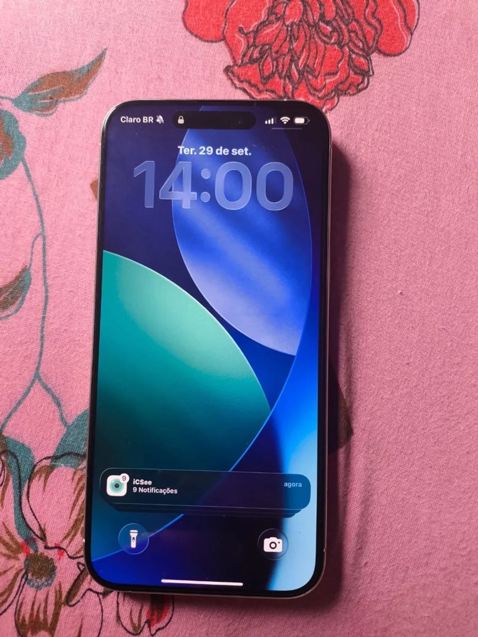 iPhone pro max