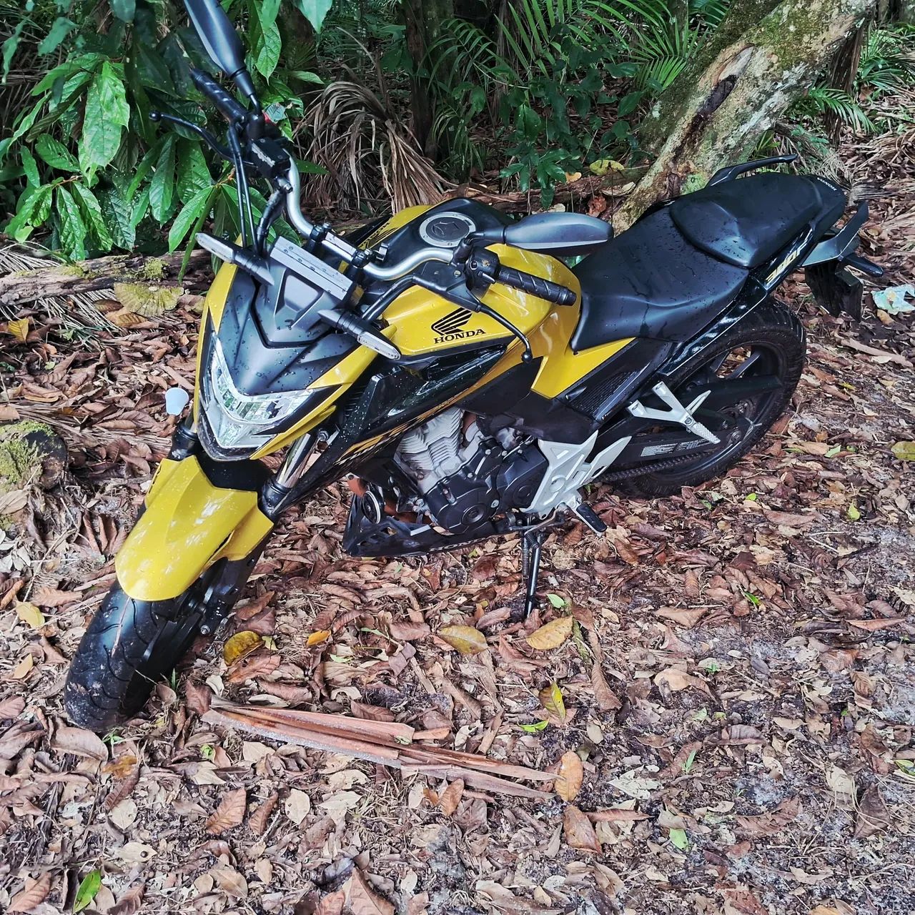 CB TWISTER 300f - Foto 4