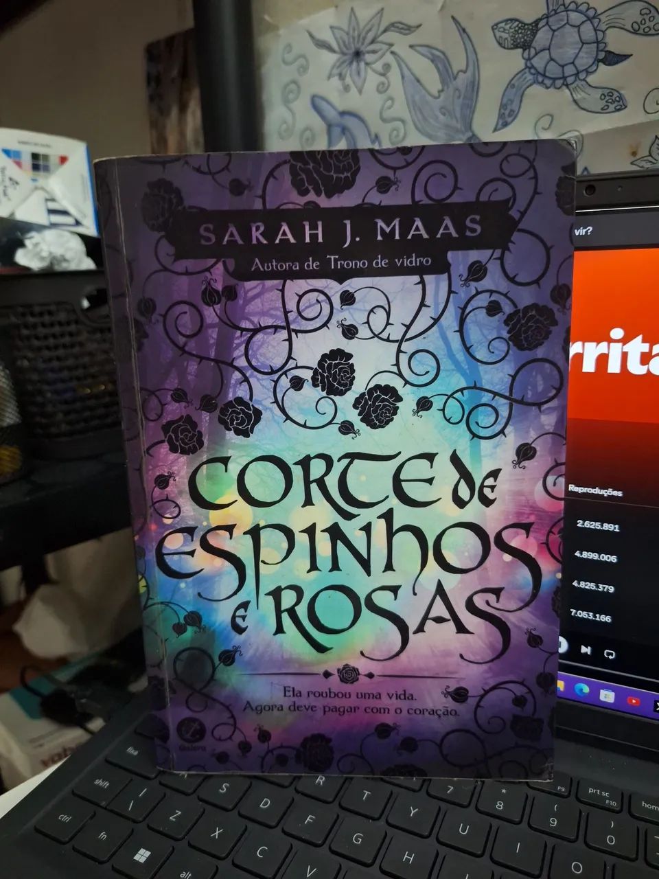 Coleção corte de rosa e espinhos  - Foto 2