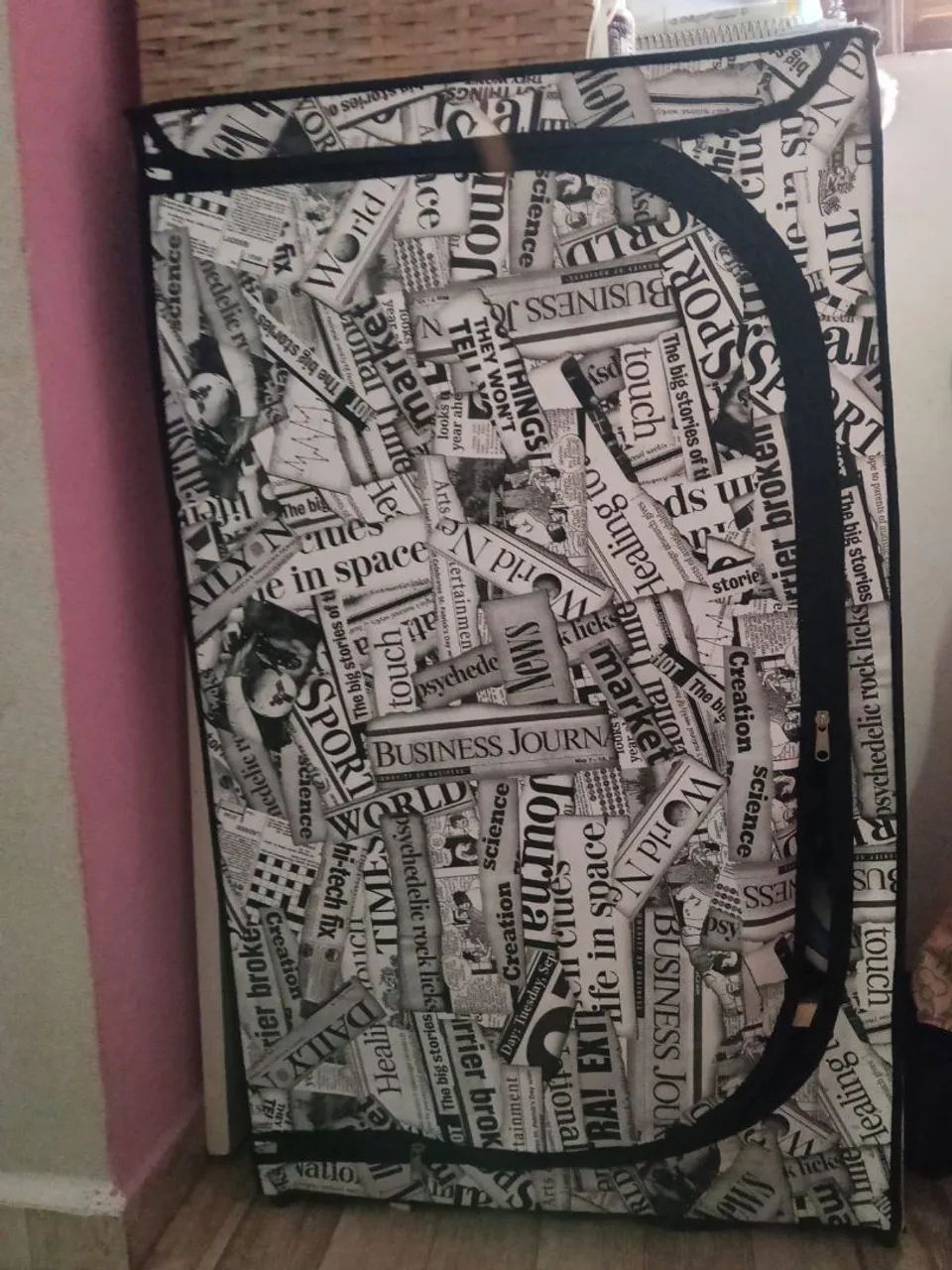 Sapateira  - Foto 2