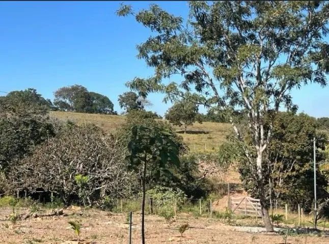 Chácara 2750m², Rancho Com 1Q, Fogão Lenha, Pomar, Cercada, Cachoeira Éden, Aragoiânia - Foto 6