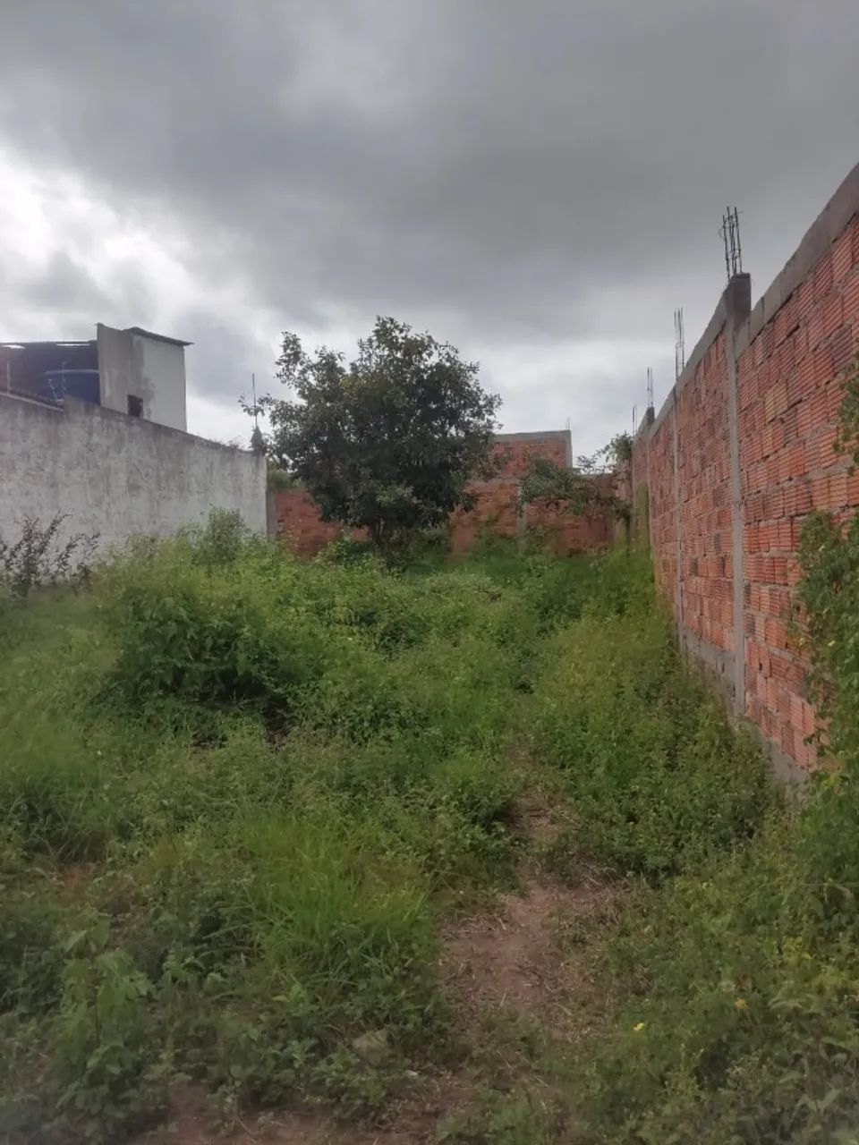 Terreno 10x25 m. Murado e com escritura. - Foto 2