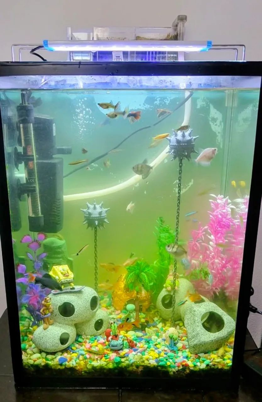 Aquário completo 56 litros 