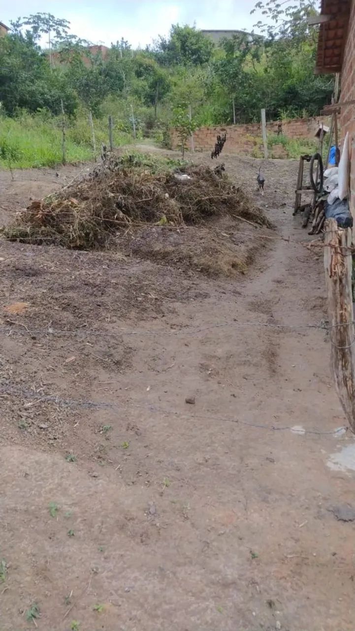 Terreno em esplanada Ba - Foto 2