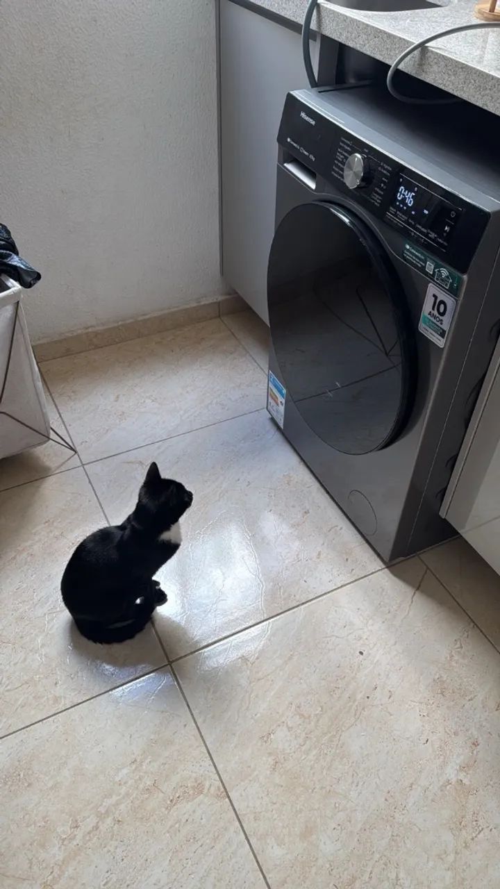 Animal  - Foto 4