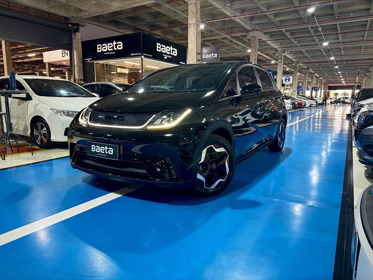 BYD Dolphin GS (Elétrico) 2024