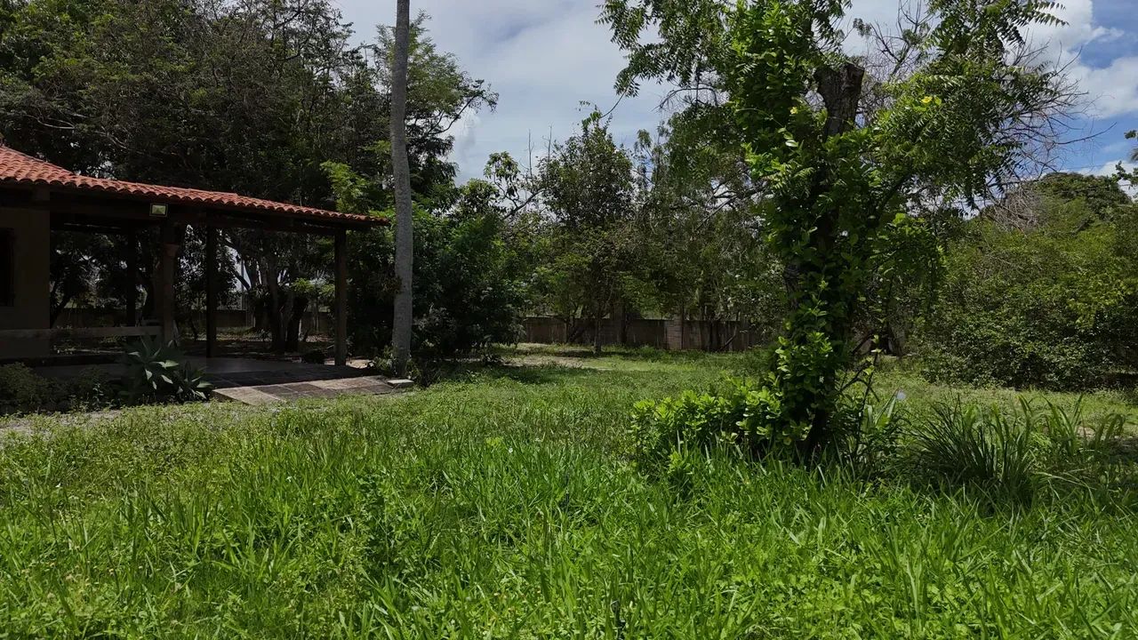 granja com 5 hectares na melhor região de Monte Alegre - Foto 4