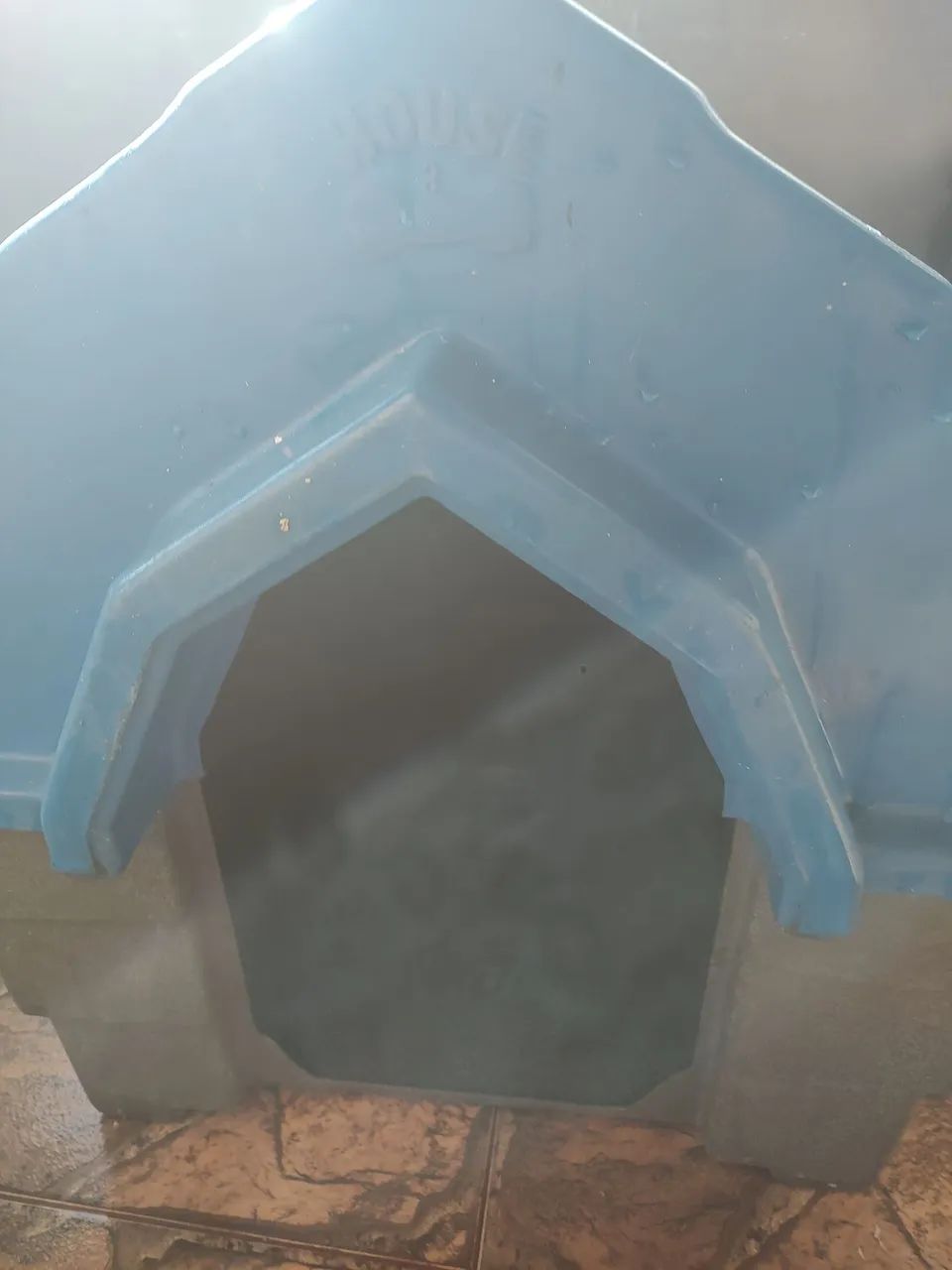 Casa de cachorro ?