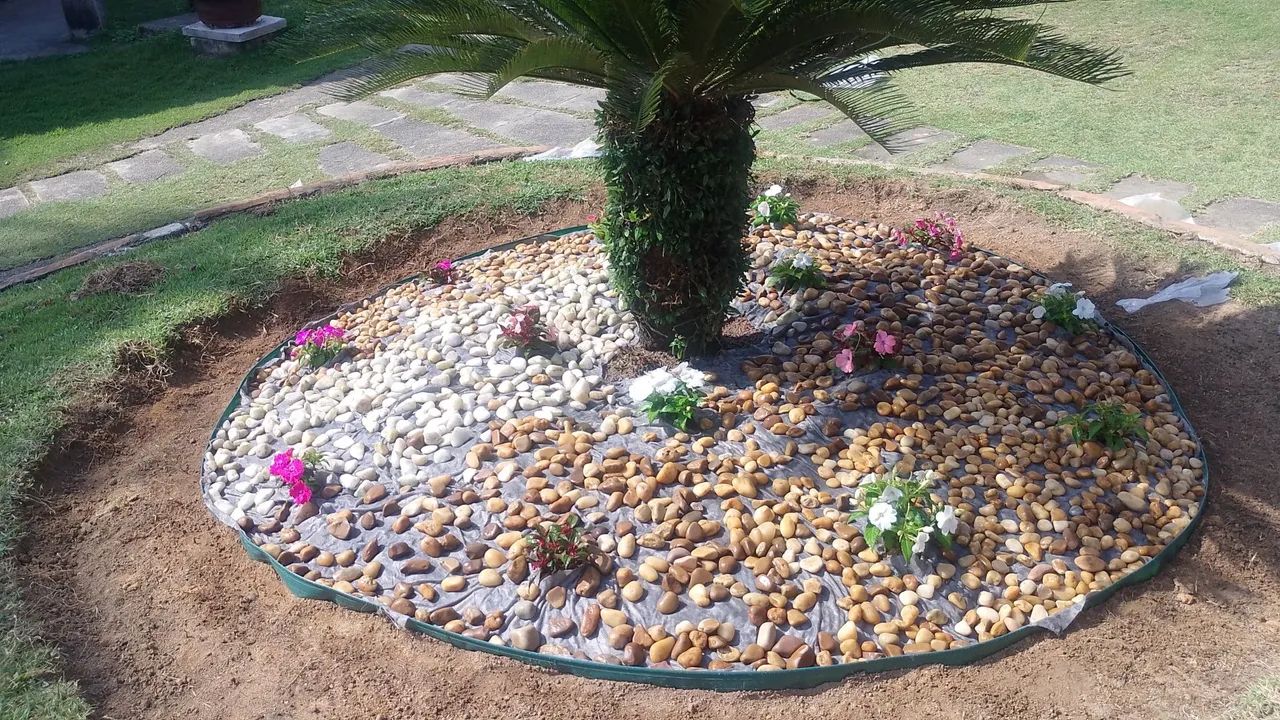 Jardinagem e paisagismo  - Foto 5