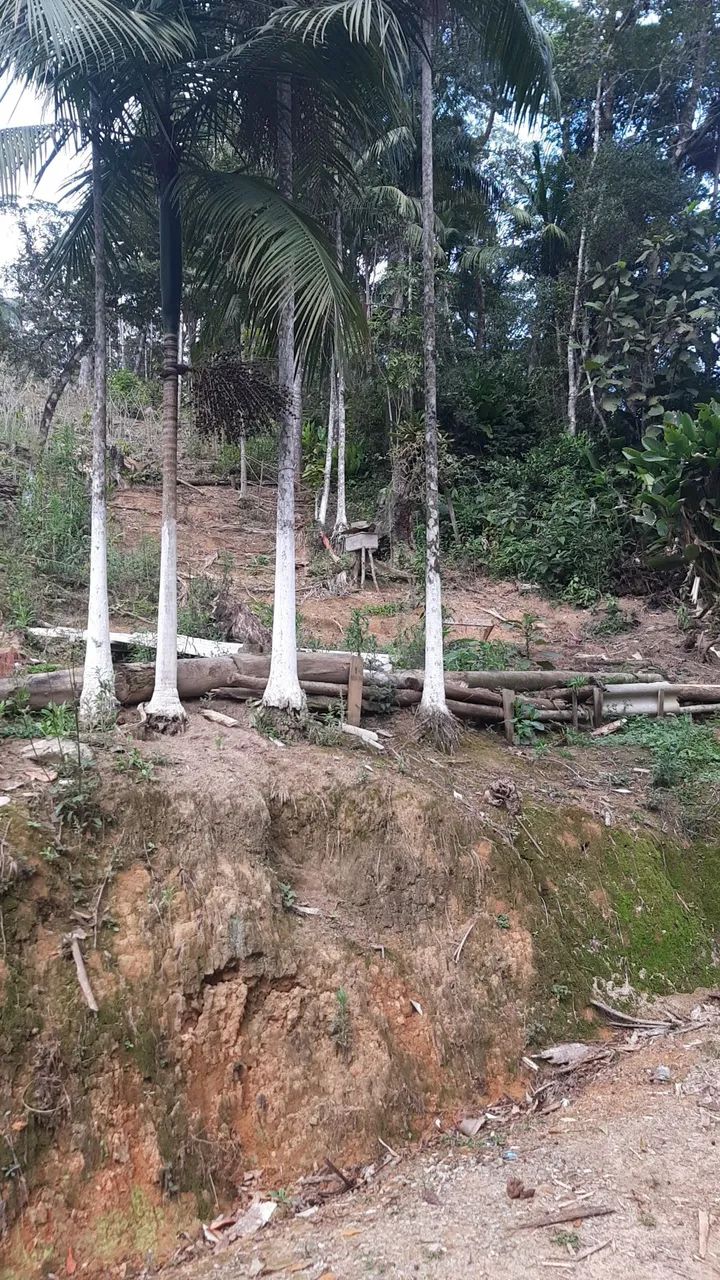 Chácara em aguas mornas - Foto 4