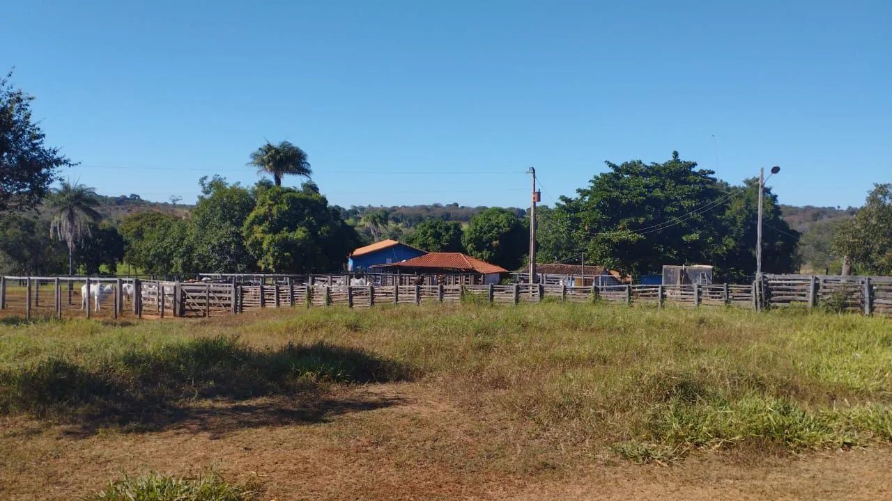 Fazenda 339 Hectares/2 Rios,Toda cercada... - Foto 9