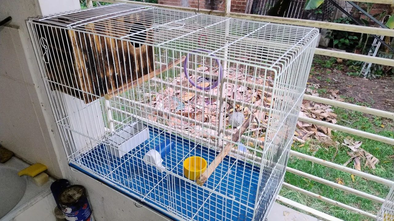 Gaiola de 60cm - Foto 2