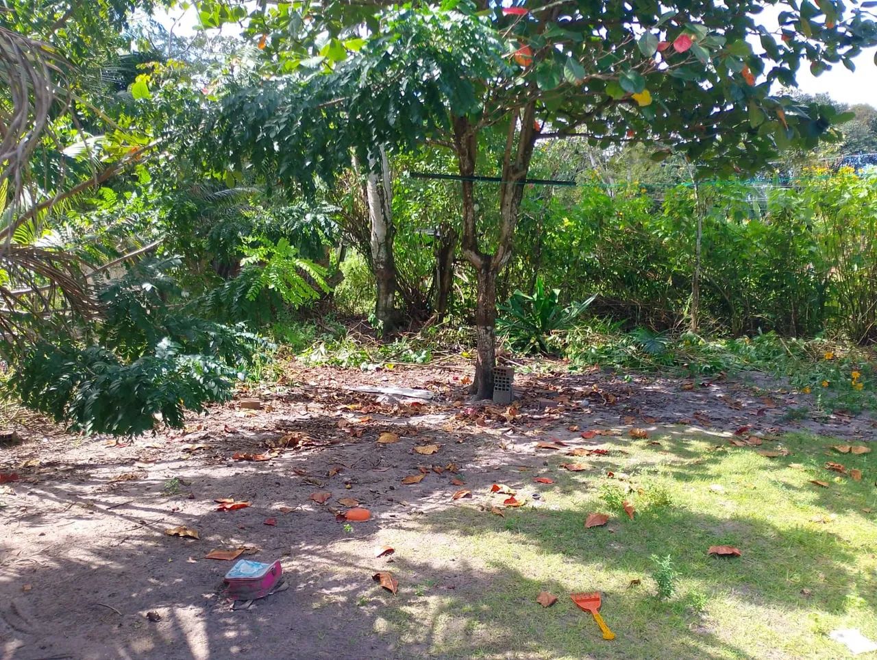 Terreno em um sítio para venda  - Foto 4
