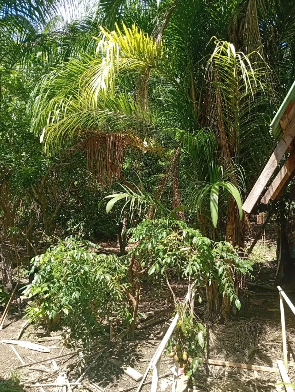 Vende-se um Terreno com duas casa  - Foto 4