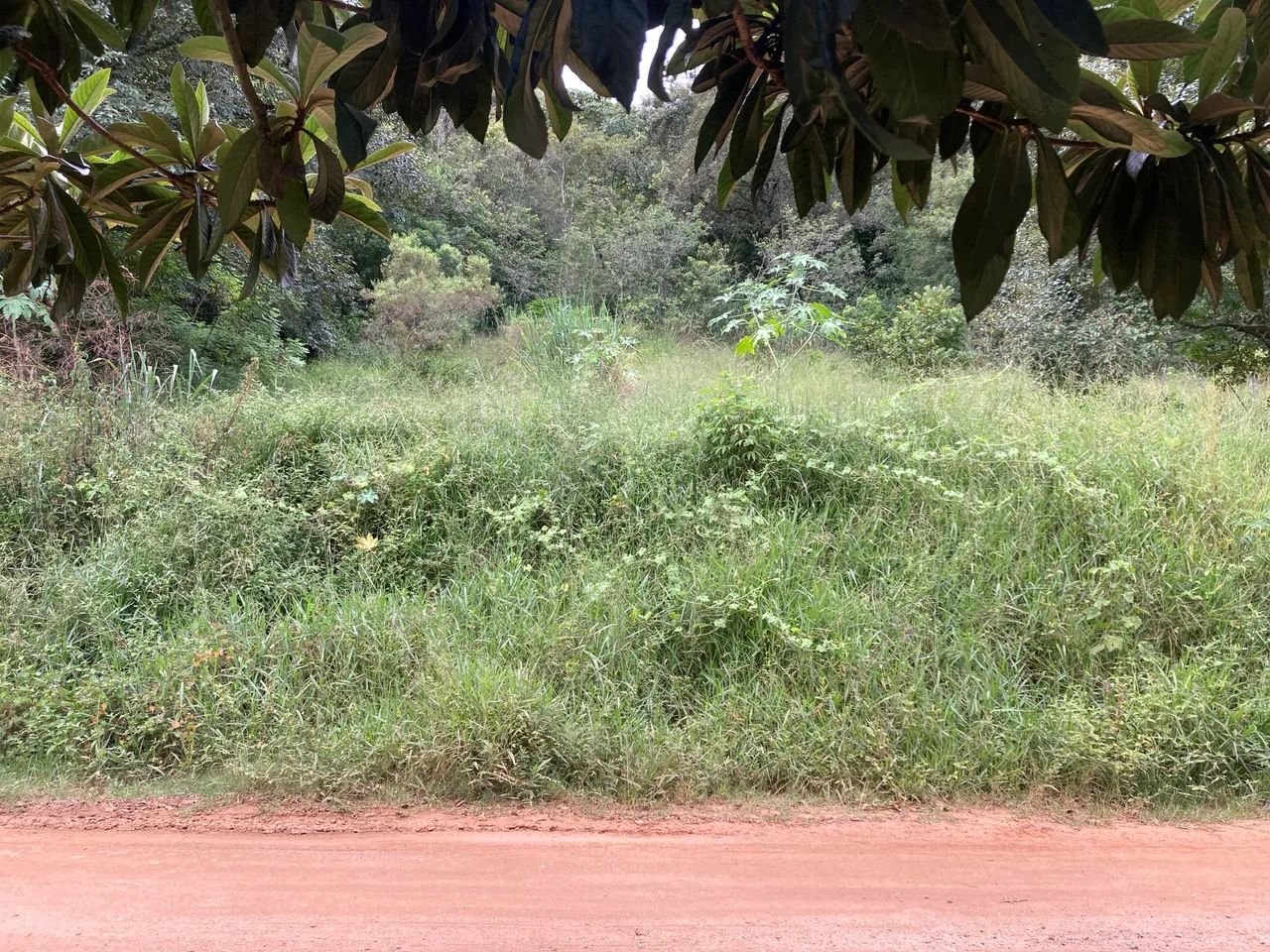 Foto - Mairiporã - Luiz Fagundes