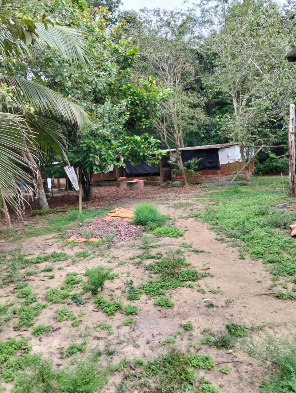 Sítio no Rio preto da Eva  - Foto 3