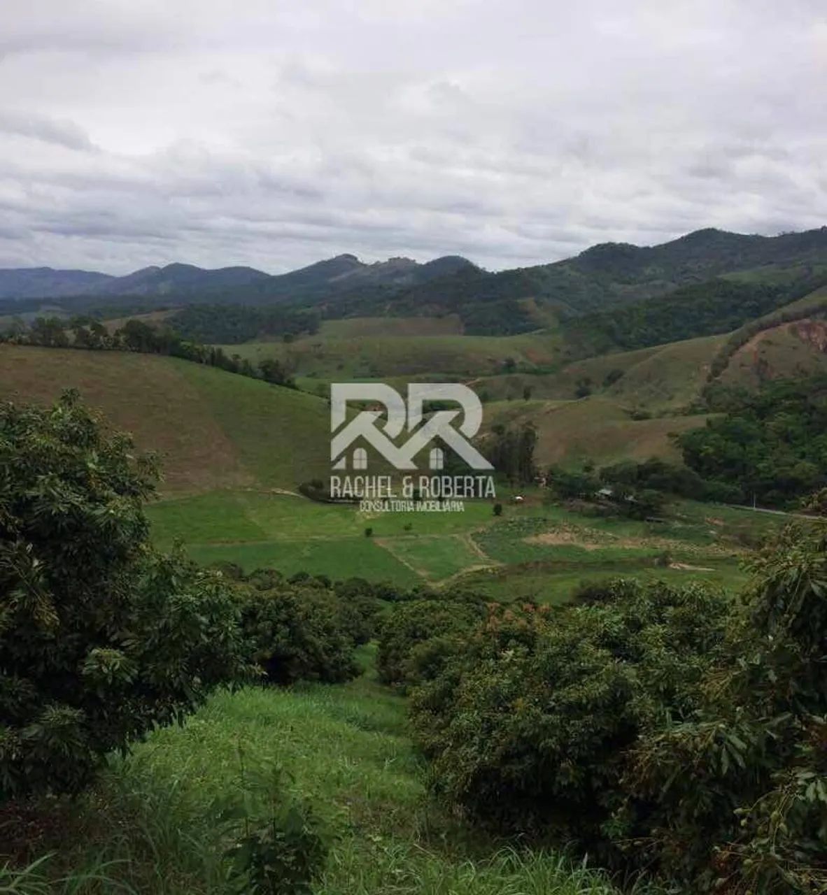 Fazenda totalmente produtiva com 48 hectares - Foto 5