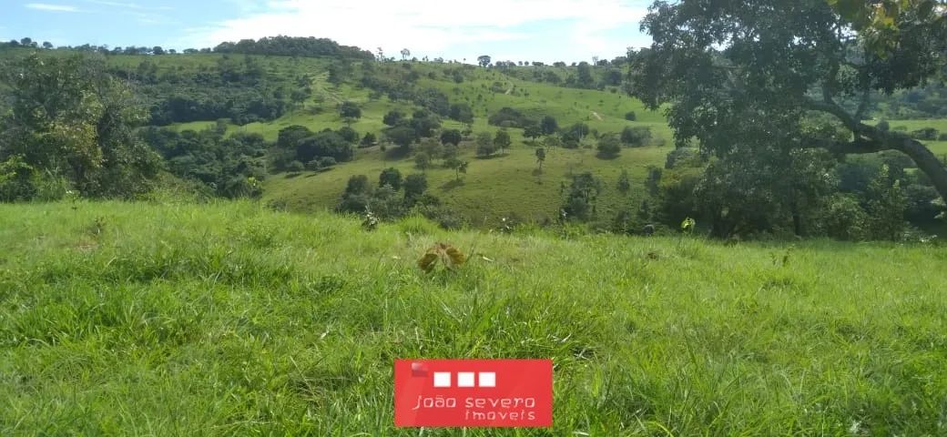 Fazenda para Venda em Hidrolina - Foto 4