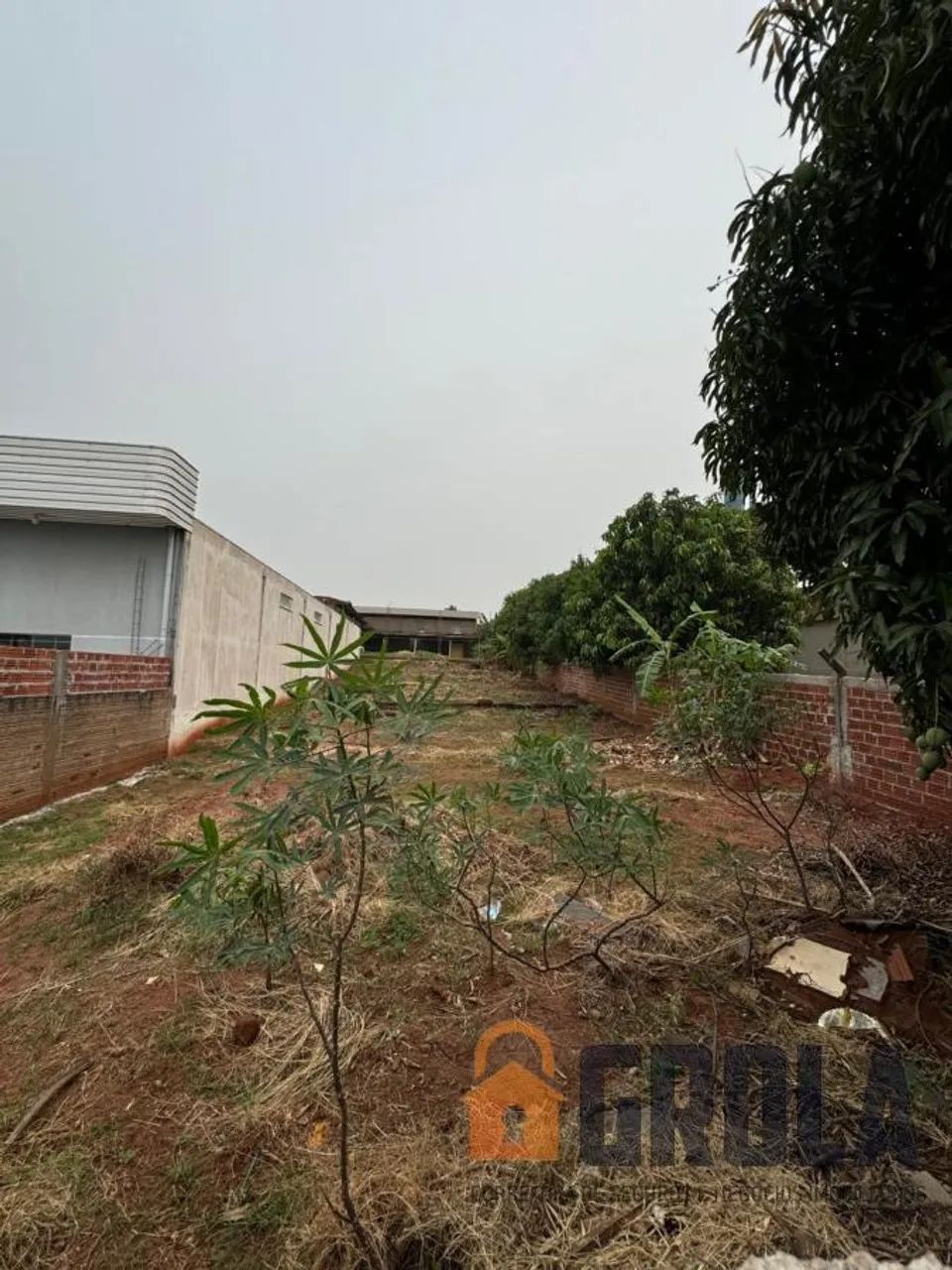 Terreno para Venda em Araruna, Parque Industrial - Foto 5