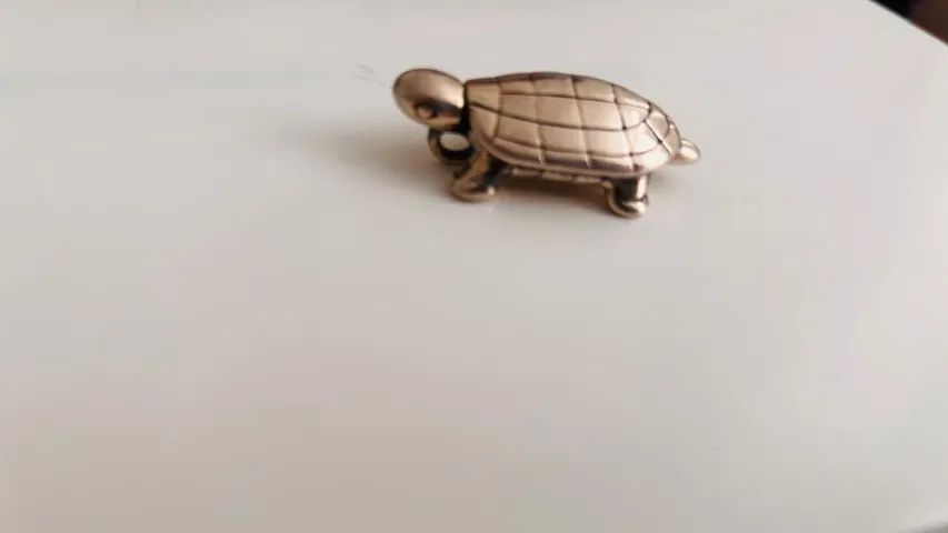 Pingente em Prata 925 modelo tartaruga
