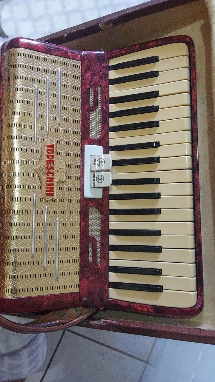 Acordeon Todeschini 48 baixos - Foto 5