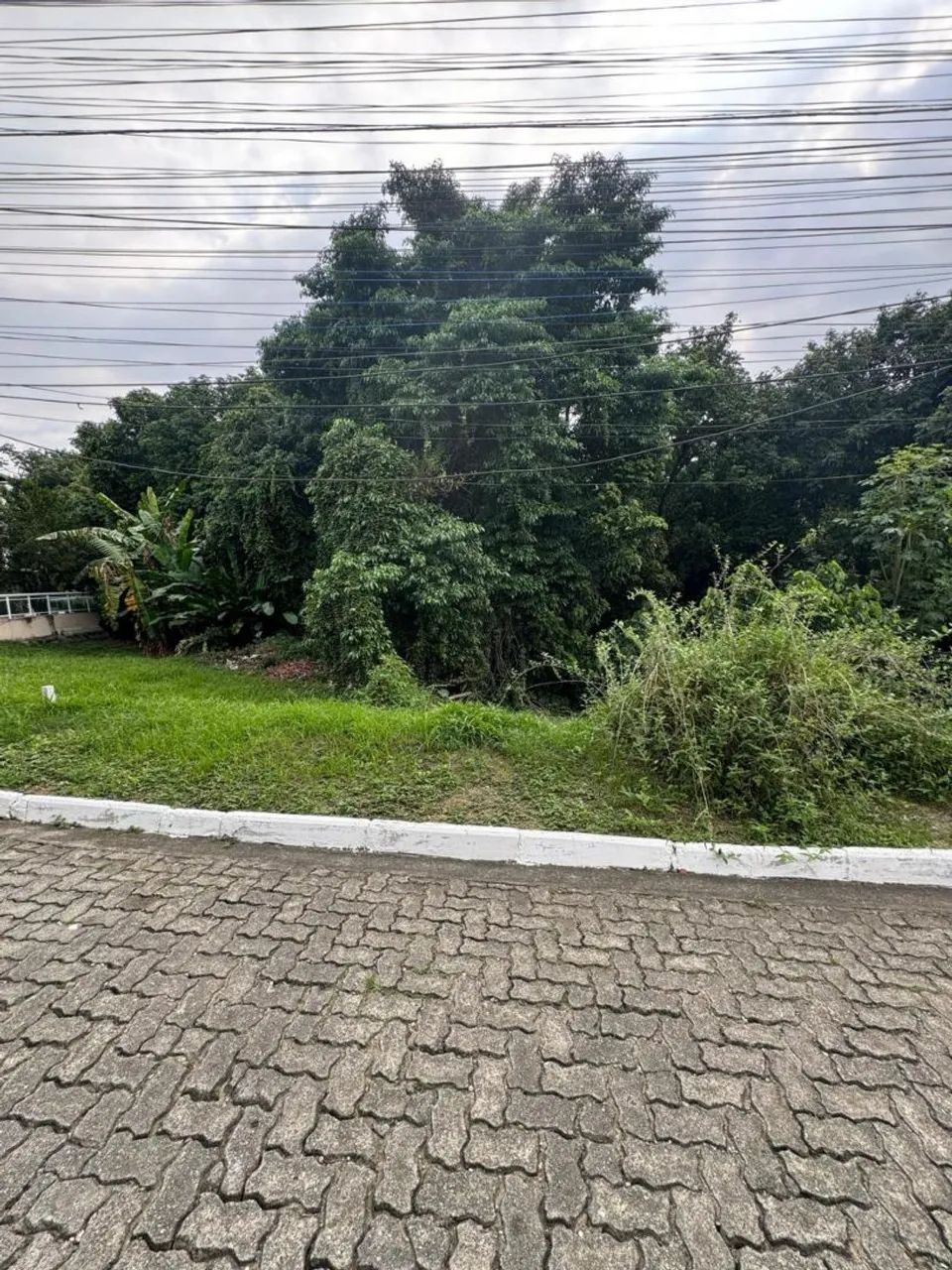 TERRENO CONDOMÍNIO BUGANVÍLLIA  - Foto 2