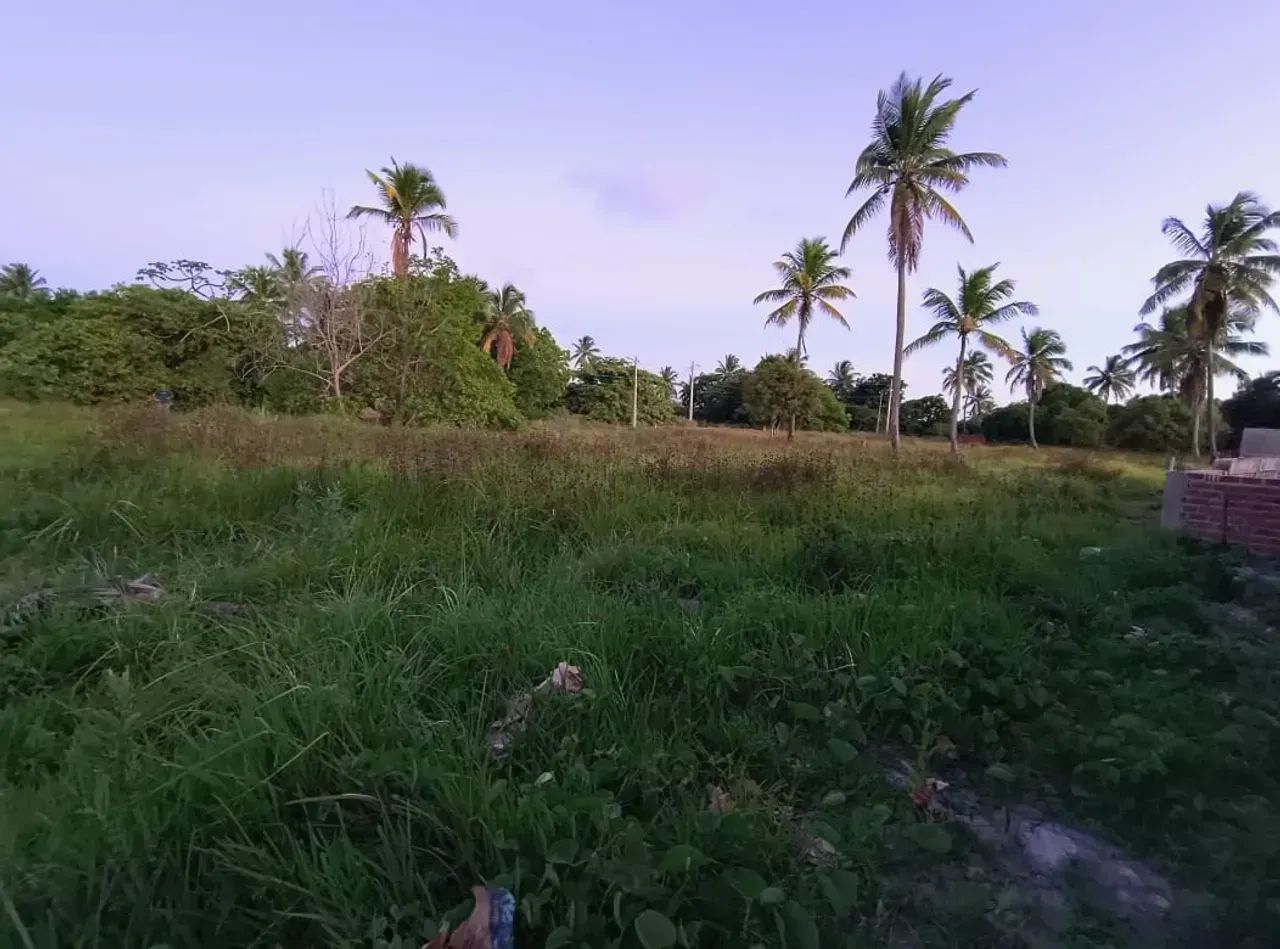 Repasse de lotes - Porto de Galinhas - Oportunidade!! - Foto 2