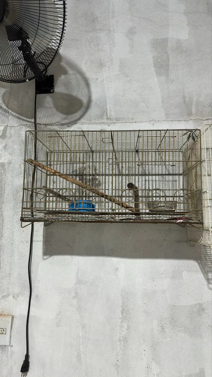 Vendo gaiola de passarinho