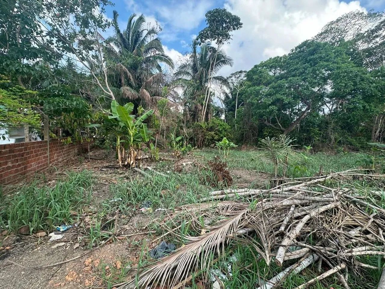 Terreno Zona Leste - Estuda-se Trocas - Foto 2