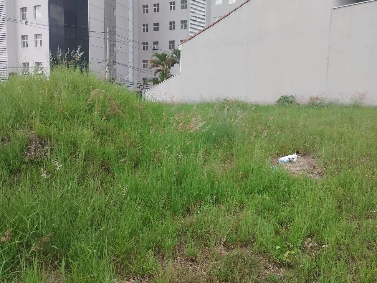 Terreno Zona Sul, Oportunidade 777 mil - Foto 4