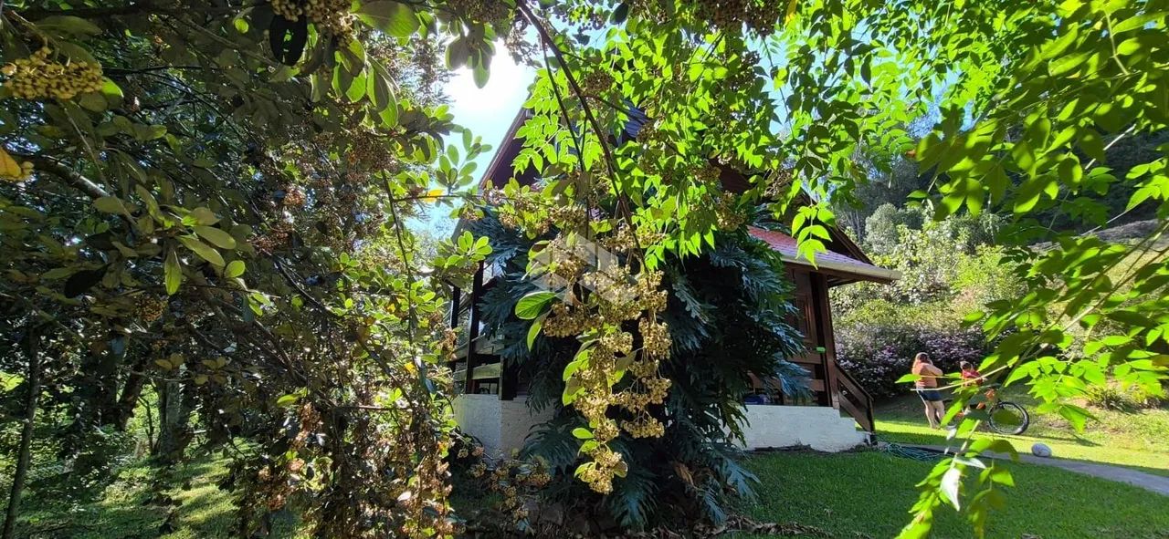 Chácara com 3 quartos em Nova Sardenha - Farroupilha - Foto 3