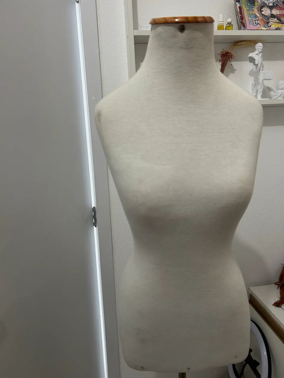 Maniquim 