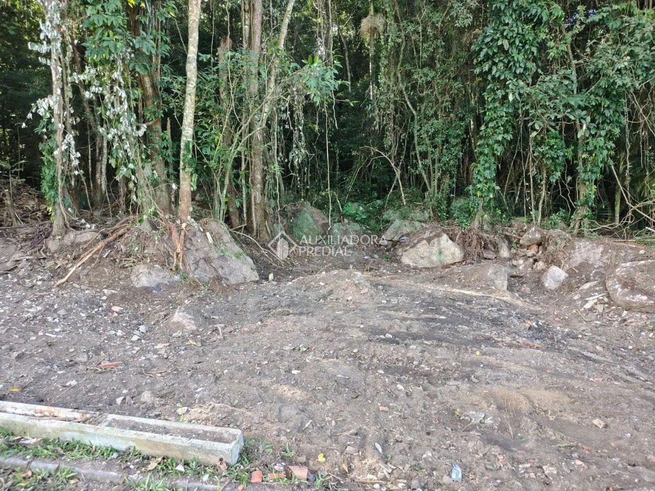 Lindo lote com 35.000m ² com viabilidade construtiva no Ribeirão da Ilha. - Foto 4