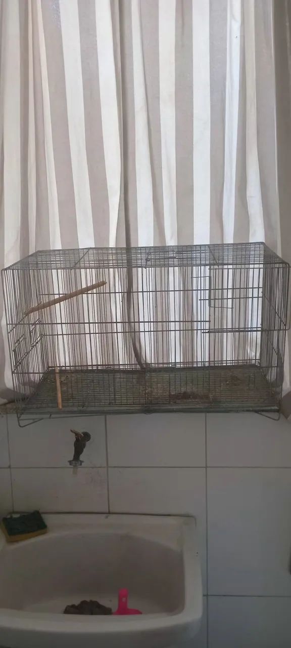GAIOLA