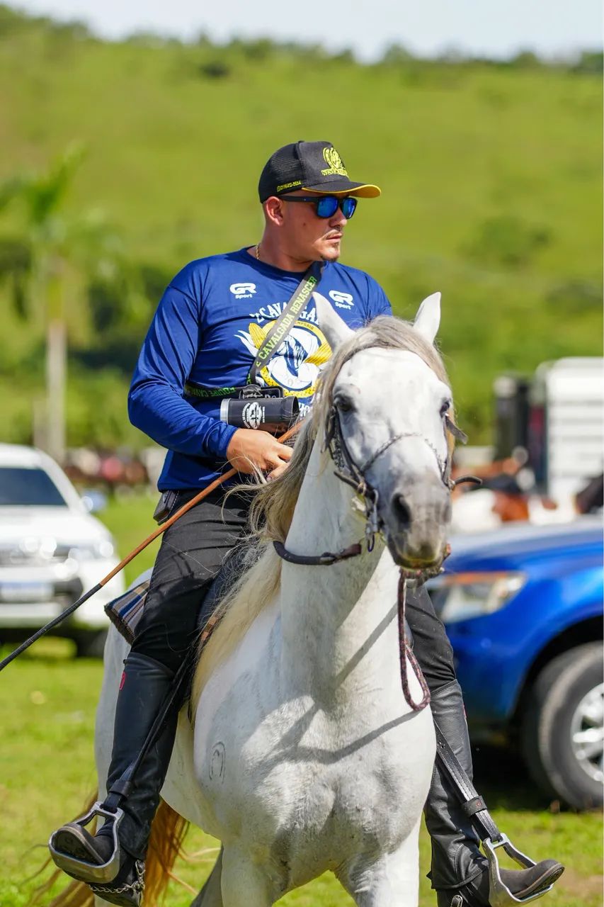 Cavalo - Foto 2