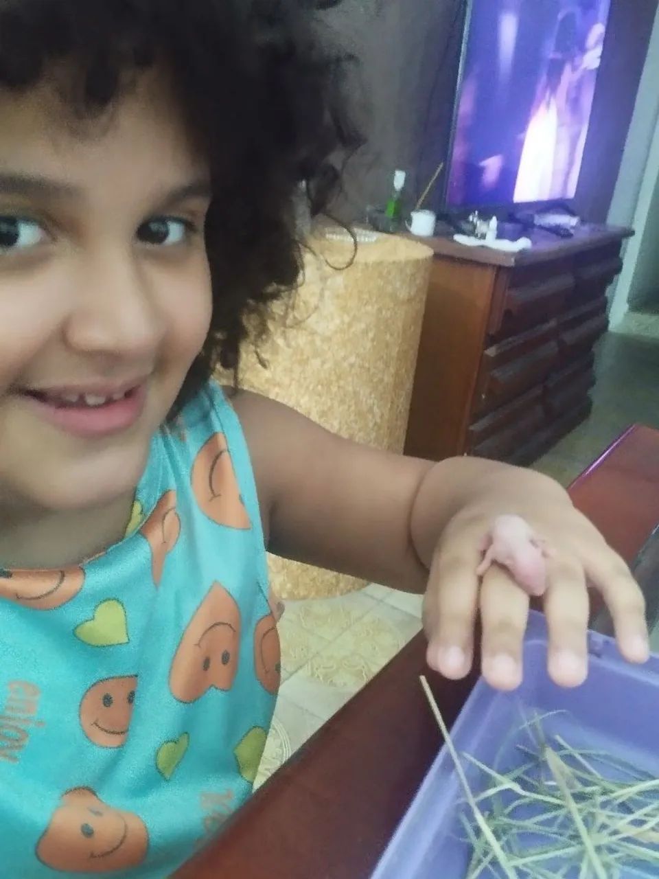 Gerbil Esquilo da Mongólia hamster pet roedores machos, fêmeas e casais adultos e filhotes - Foto 5