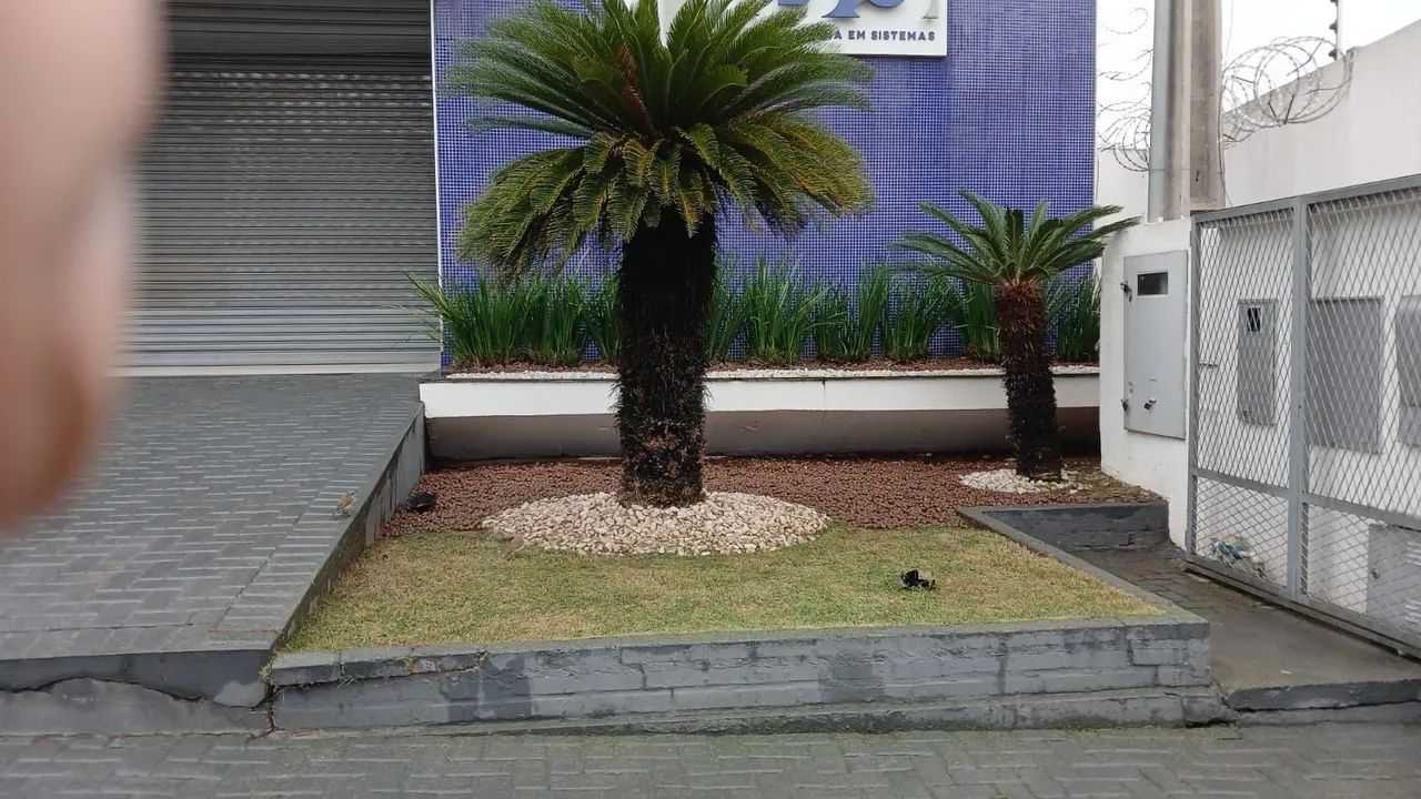 Jardineiro//Jardinagem//Jardins  - Foto 5
