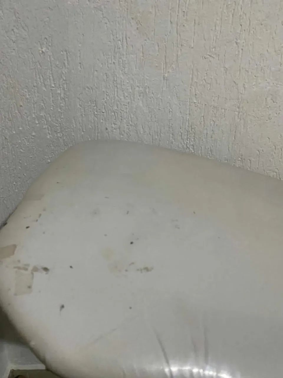 Maca pra estética  - Foto 2
