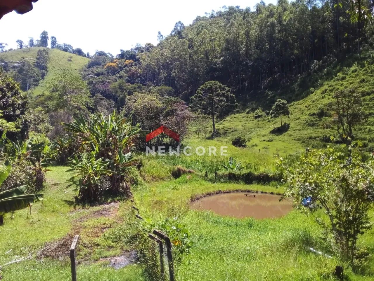Sítio em Redenção da Serra - Centro - Redenção da Serra/SP - Foto 3