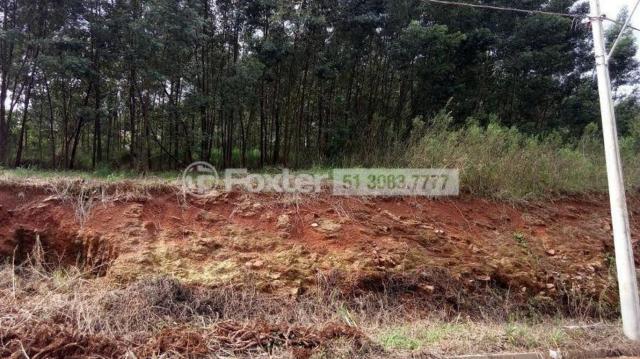 Terreno à venda em Centro, Nova petrópolis cod:161635
