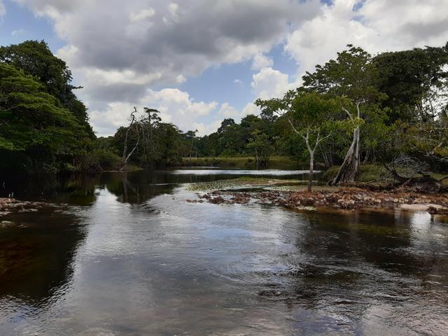 Vende-se área rural no amapá - Foto 2