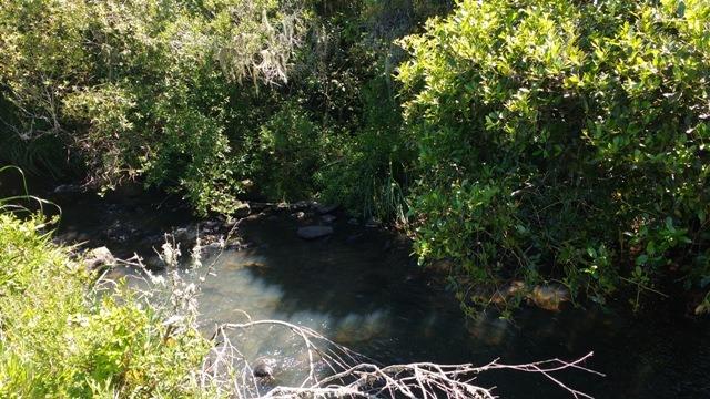 Chácara 3,0 Ha Apanhador - Foto 2