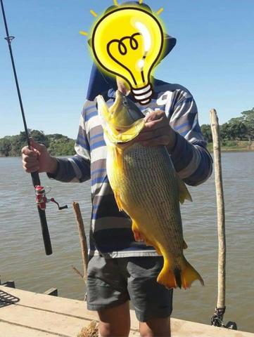 Sitio na Margem do Rio Cuiabá - Foto 8