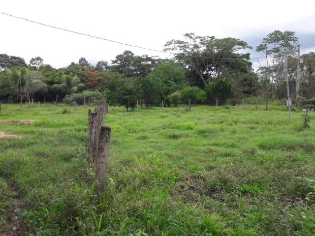 Vende-se uma chácara na beira do rio Cuiabá - Foto 8