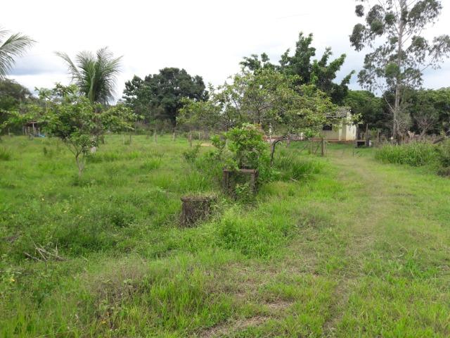 Vende-se uma chácara na beira do rio Cuiabá - Foto 16